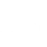 American Apparel logo